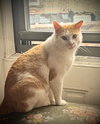Egbert - Photo 2