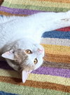 Egbert - Photo 6