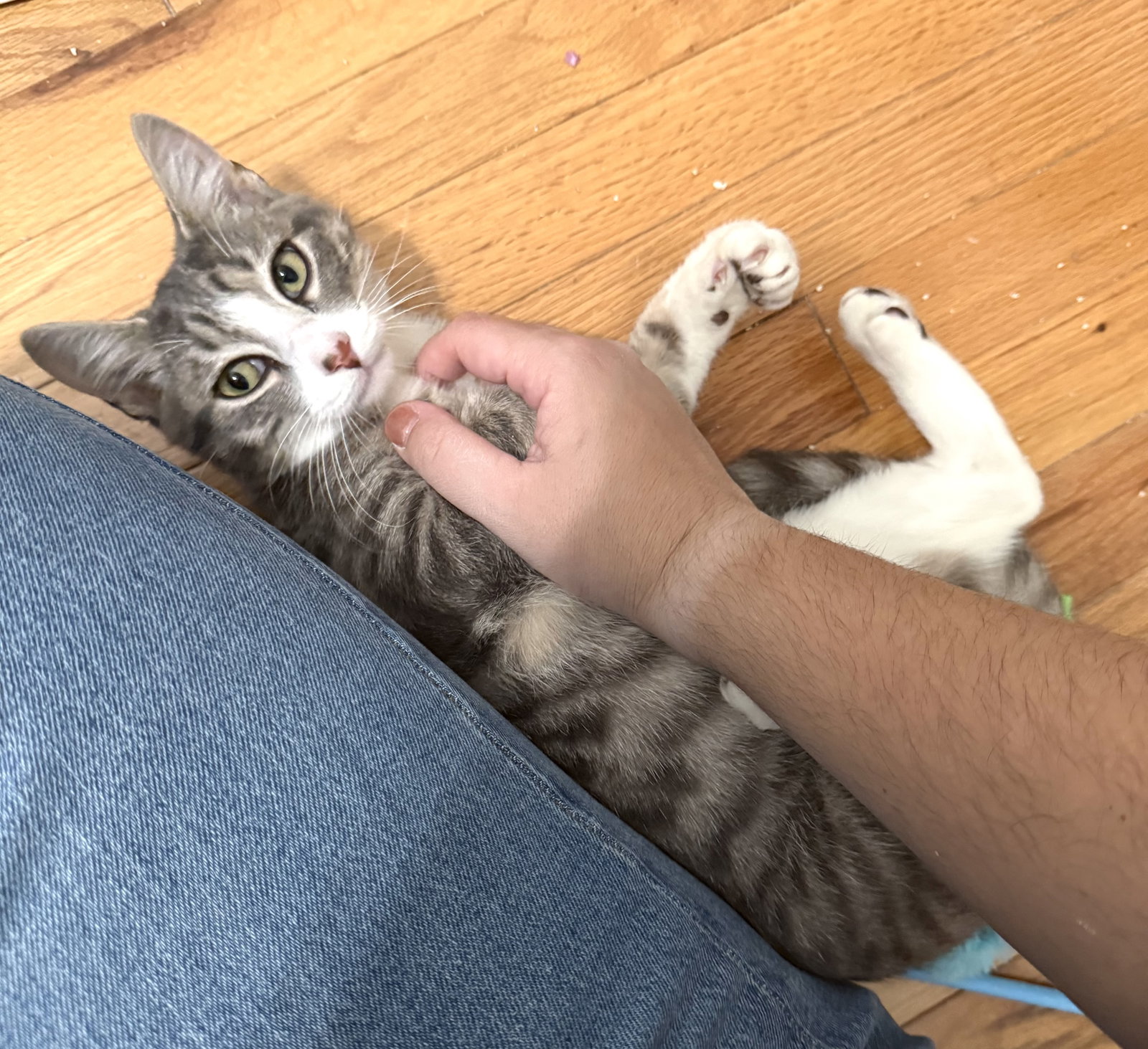 Oscar Image