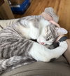 Oscar - Photo 3