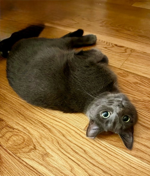 Jade