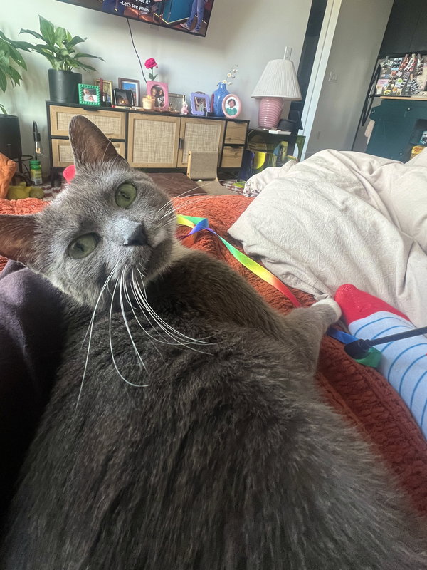 Anya