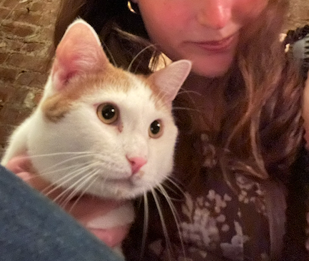 Sundance, cat