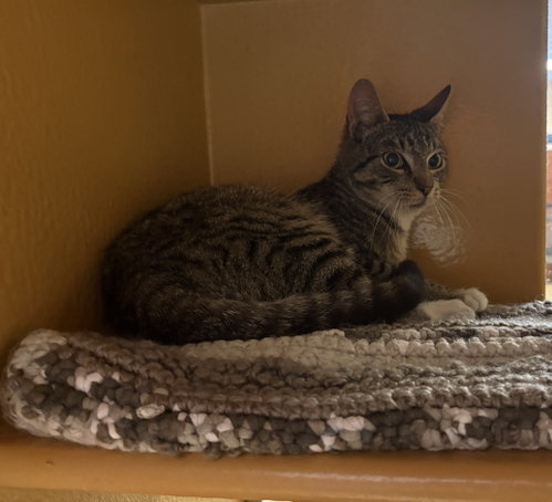 Photo 3 of Cyrus