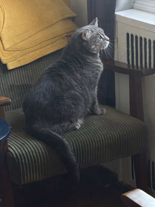 Photo 3 of Gerty