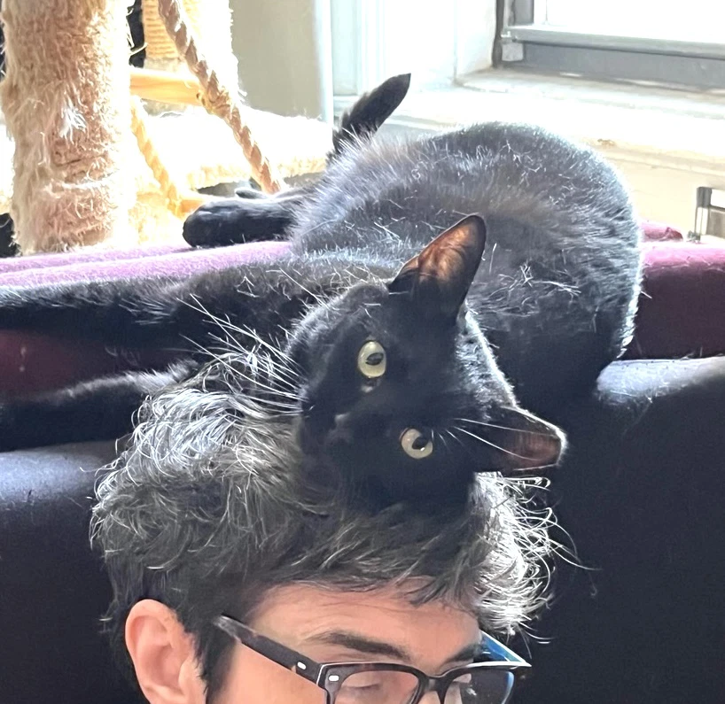 Coala
