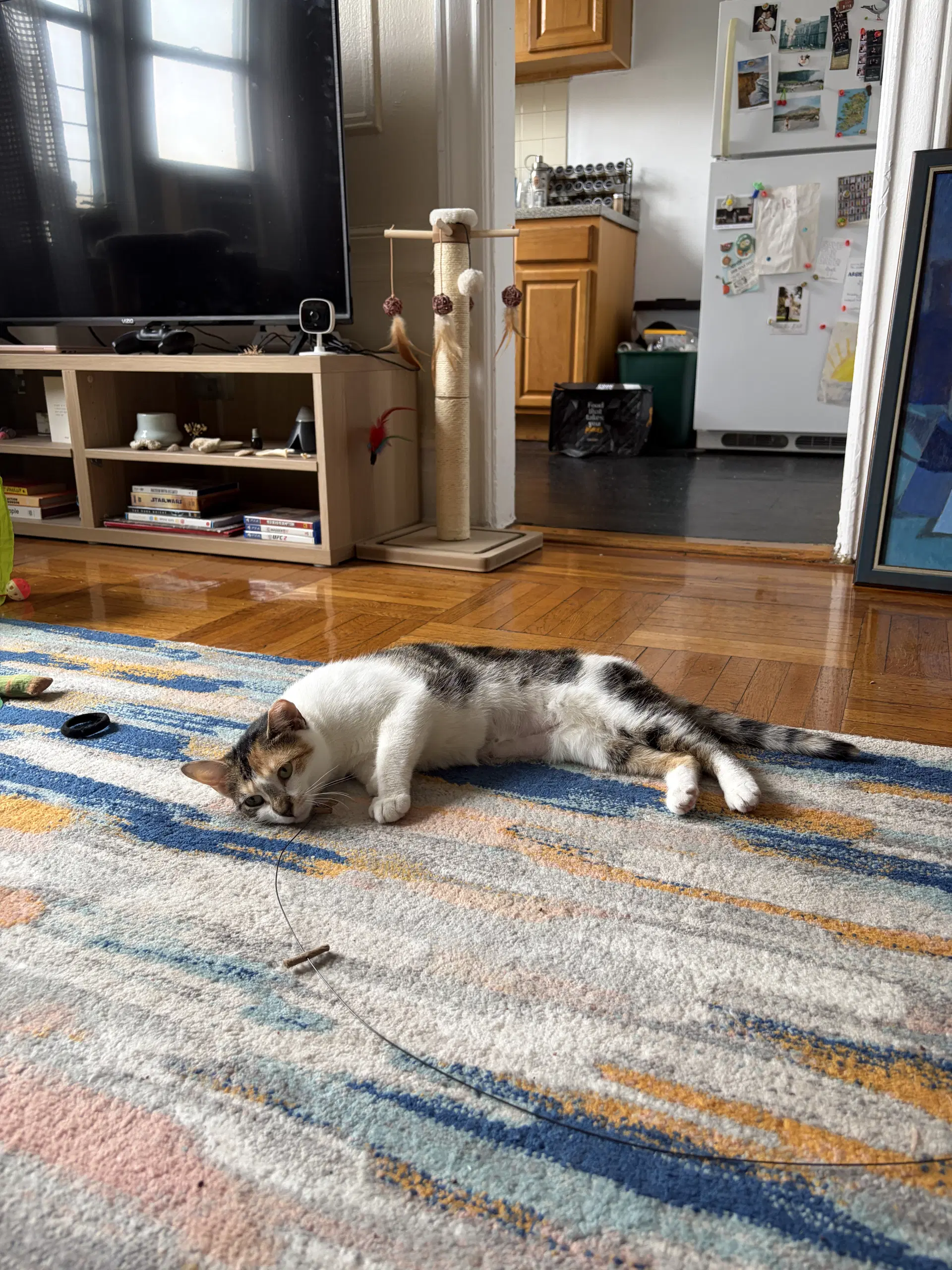 Margo image 2