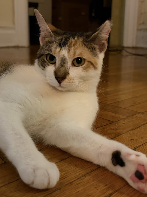 Margo
