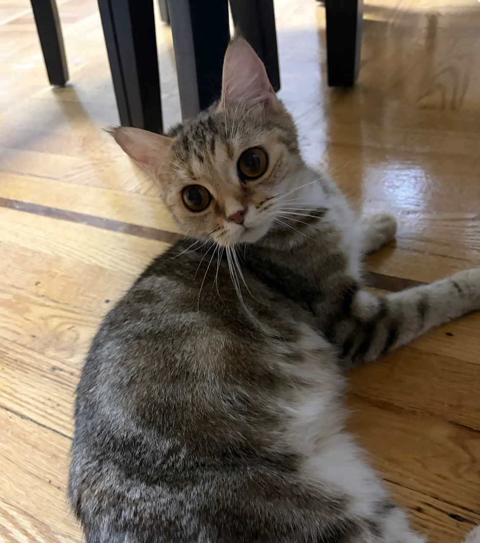 Elara