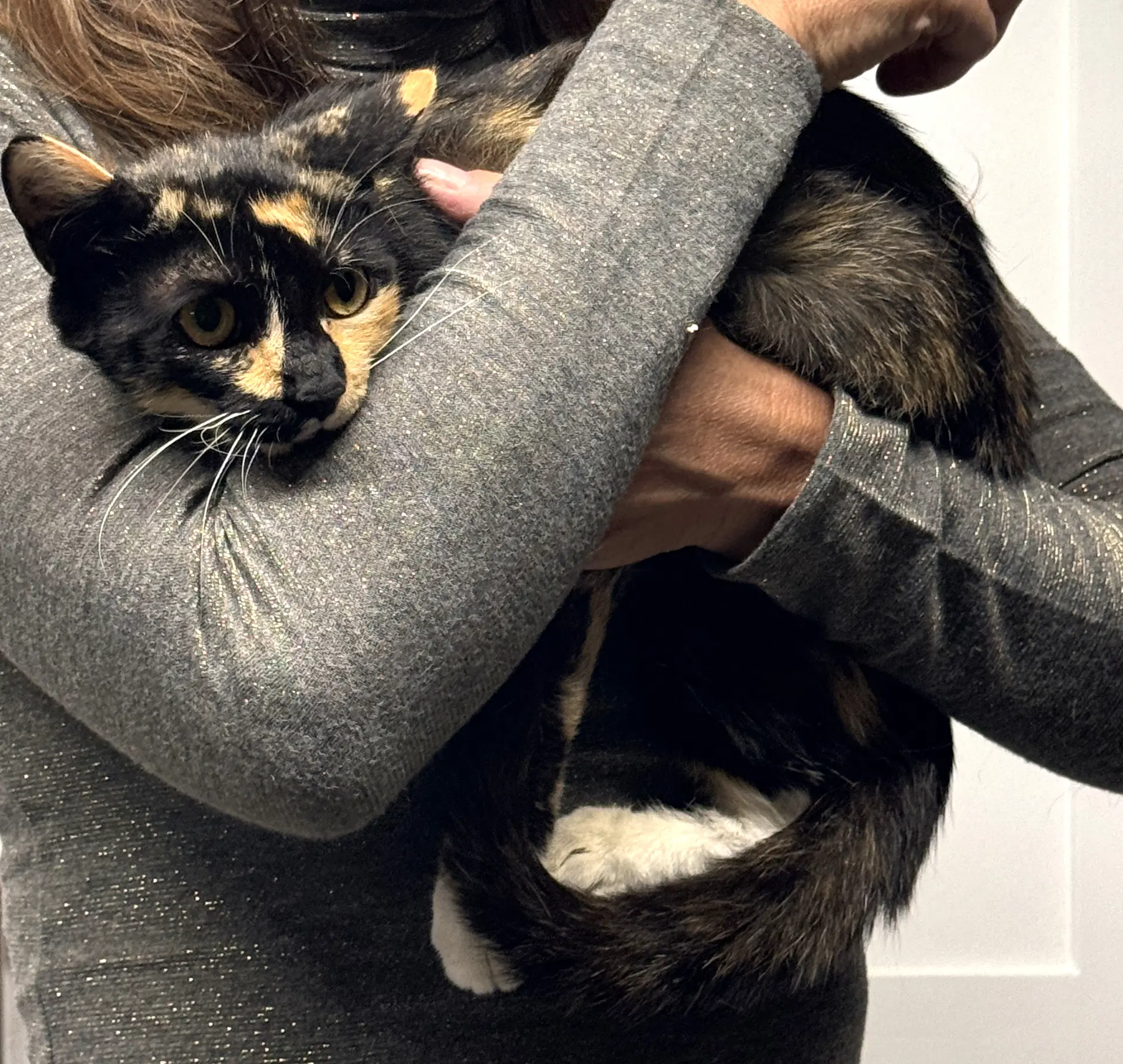 Rosie image 3