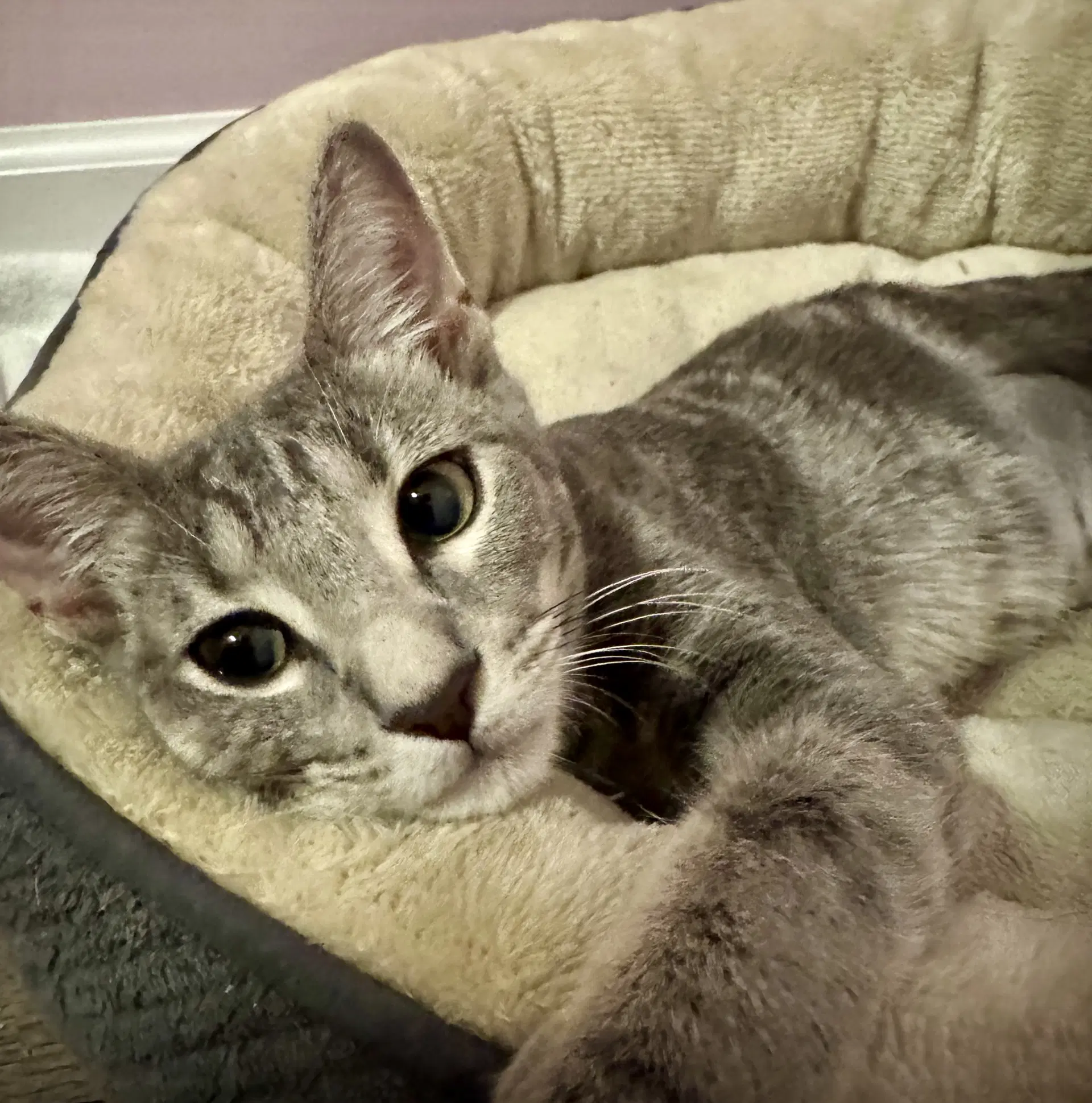 Gabby image 2
