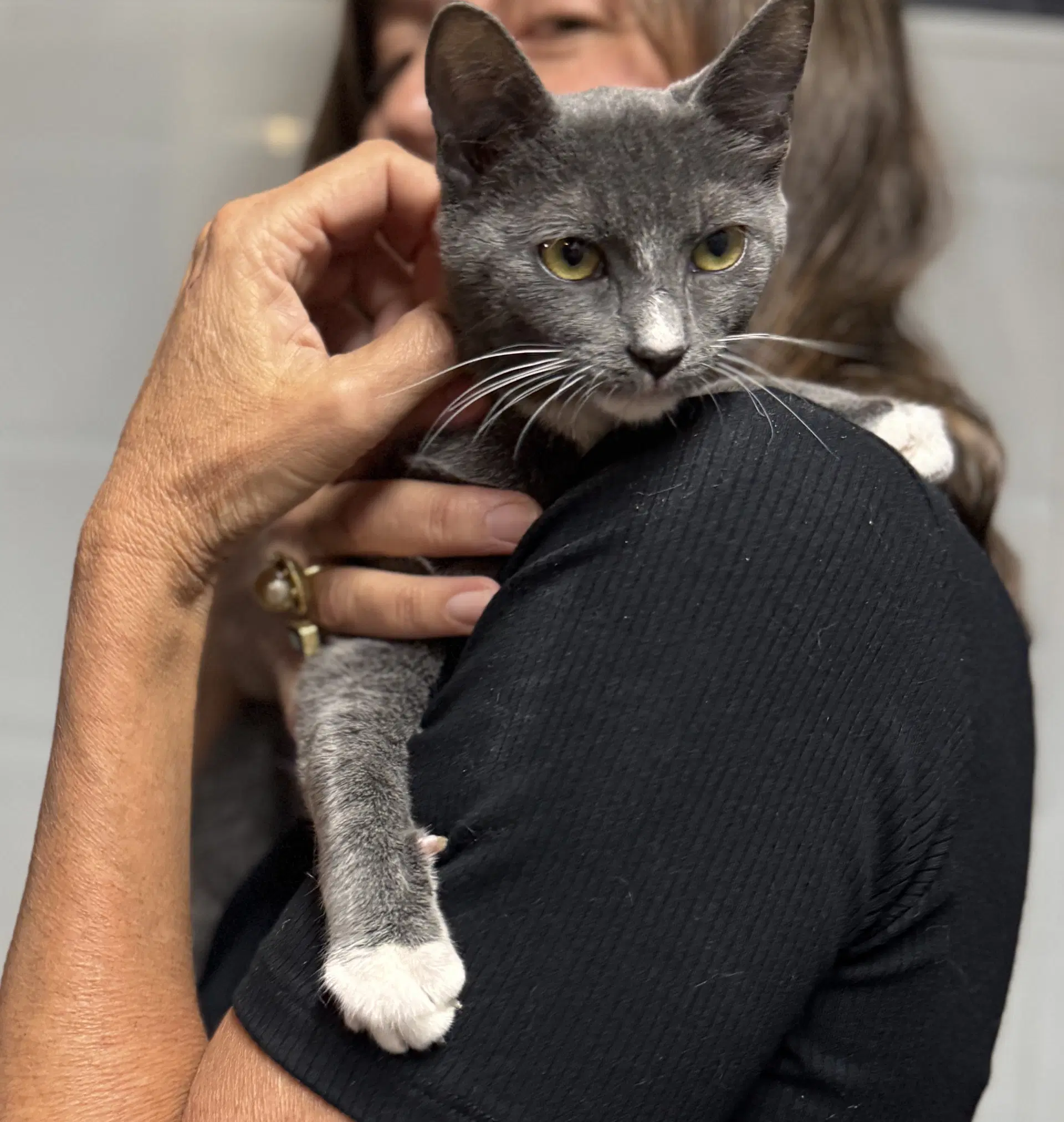 Gracie image 3