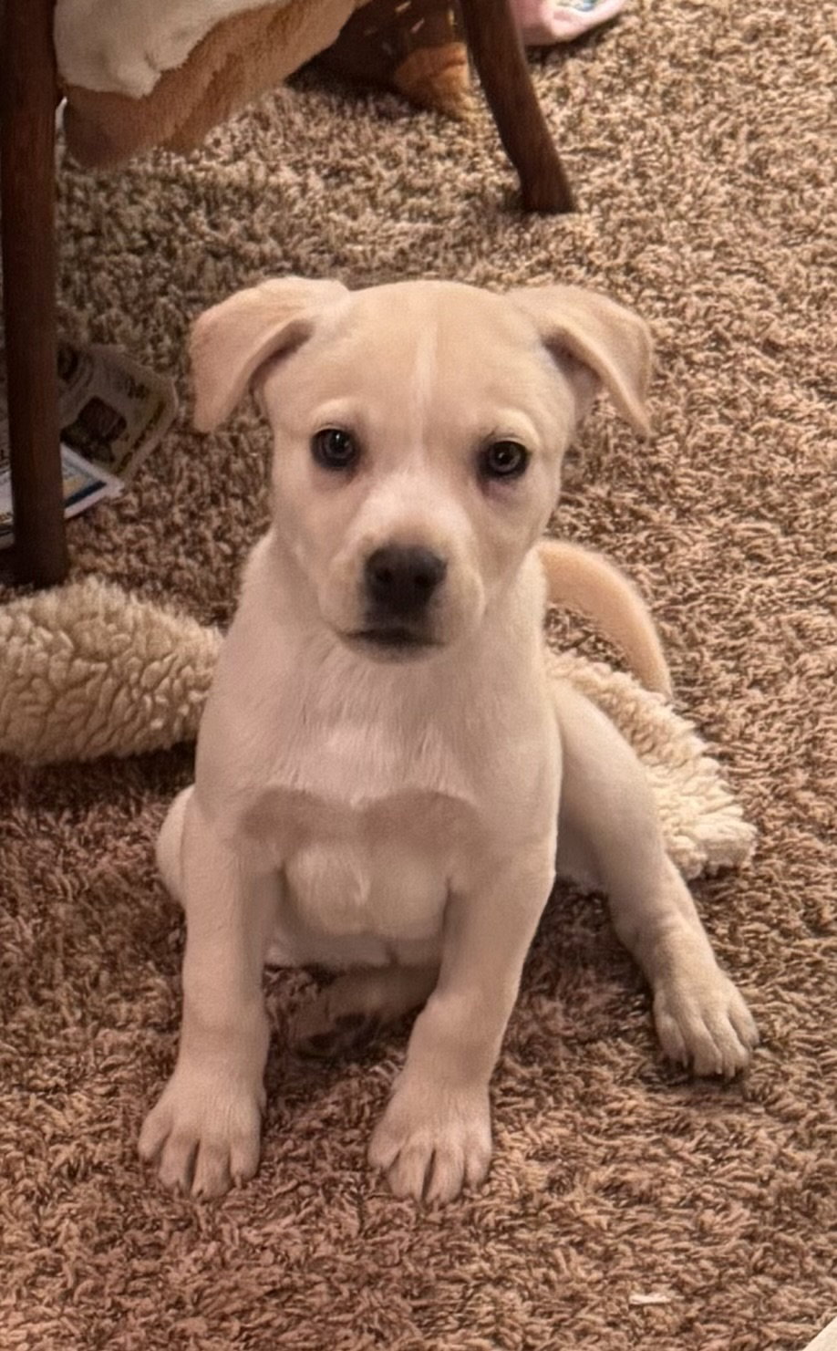 Cuter Things “Holly”