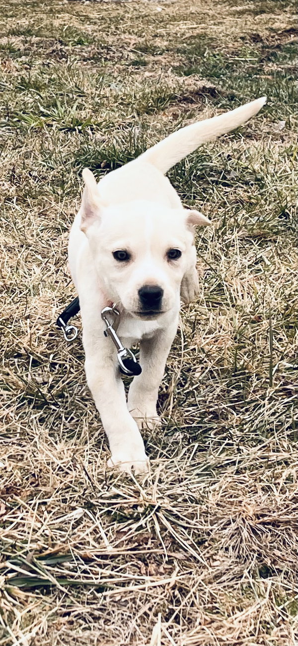 Cuter Things “Holly”
