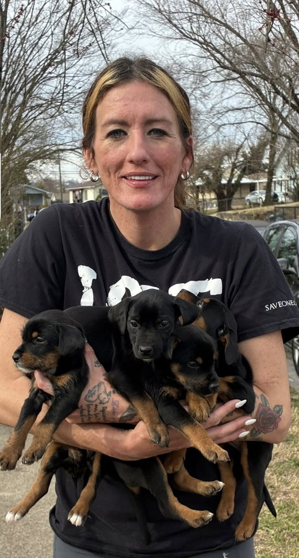 The Canine Coven “Myrtle” in foster