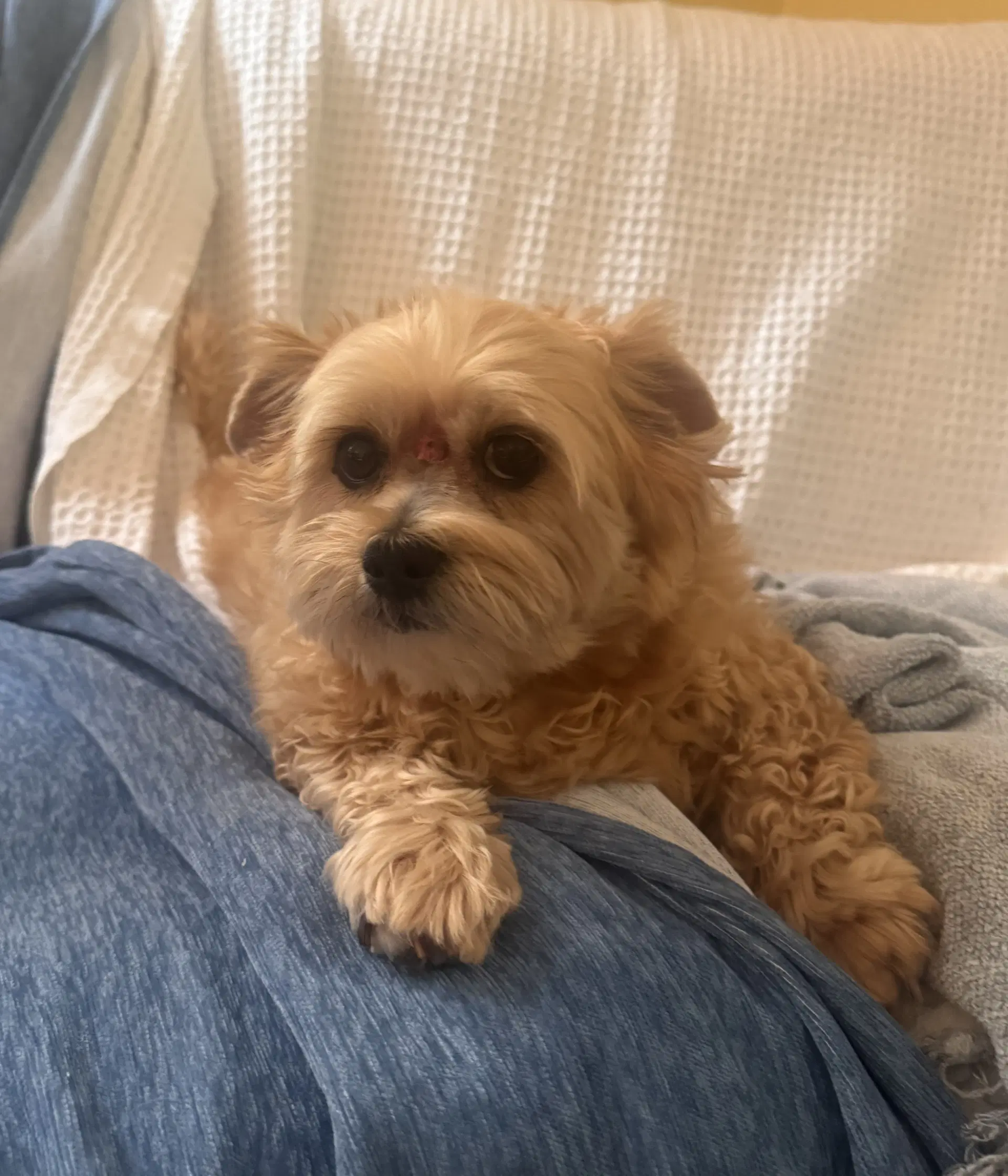Mya In Foster image 3