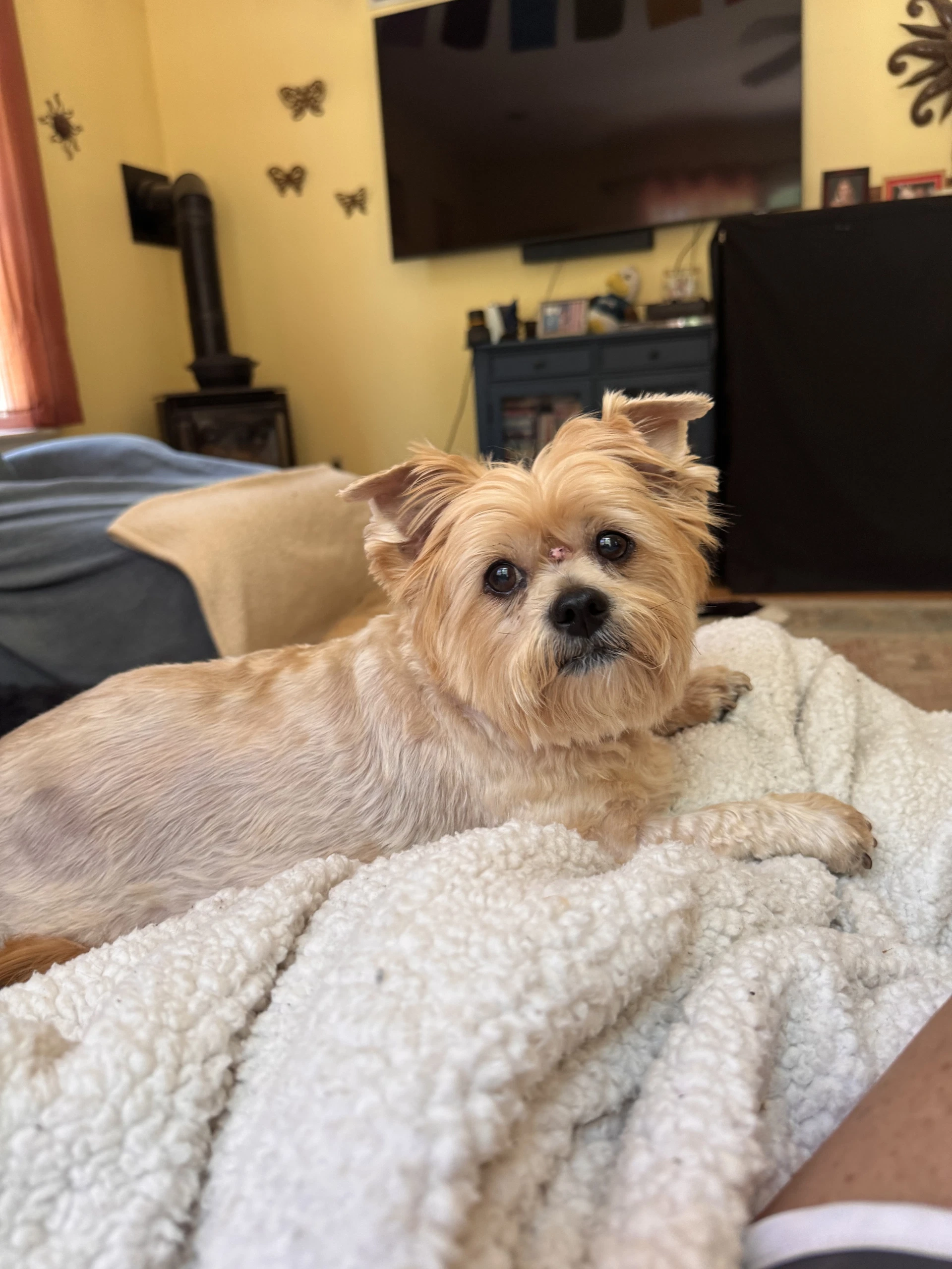 Mya In Foster