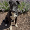 Ruffin Tumble - Photo 2