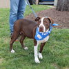 Pointer Sisters Eve - Photo 7