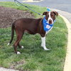Pointer Sisters Eve - Photo 8