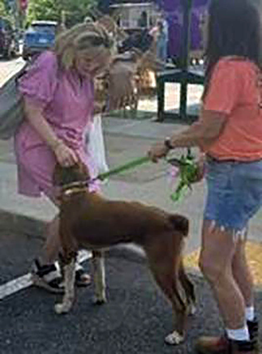Copper