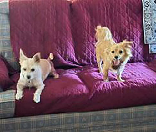 Sammy photo 5