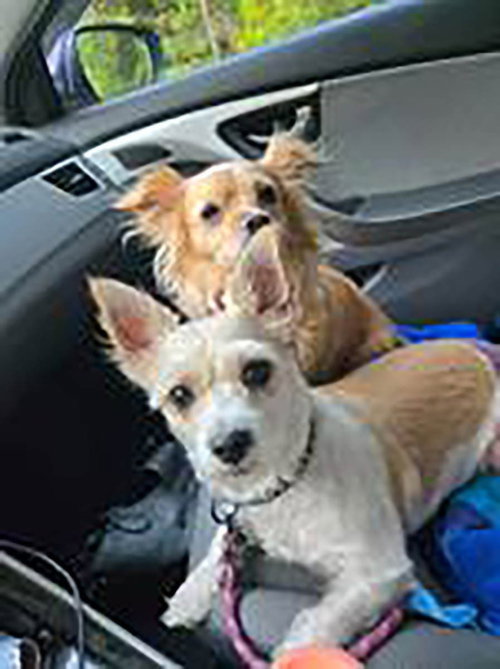 Sammy photo 6