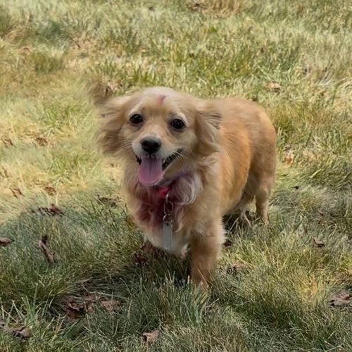 Sammy photo 7