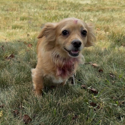Sammy photo 8