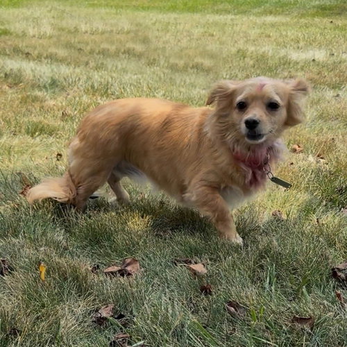 Sammy photo 9
