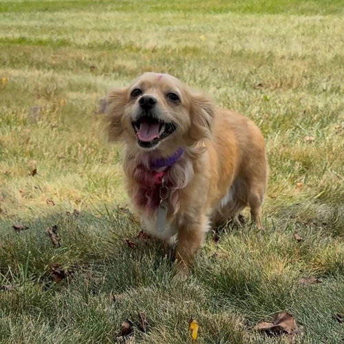 Sammy photo 10