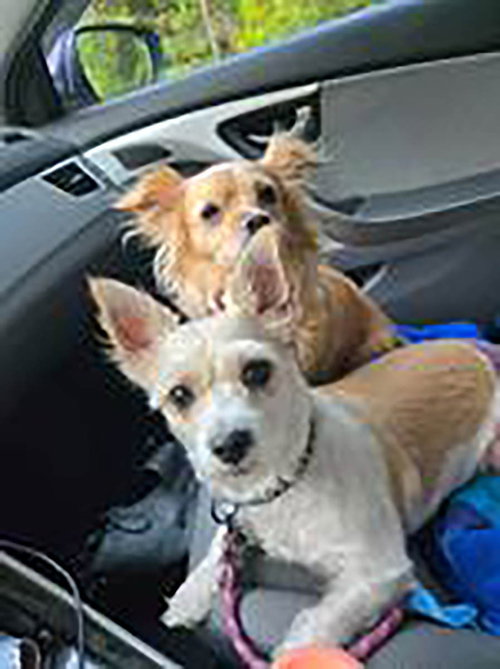Lola photo 2