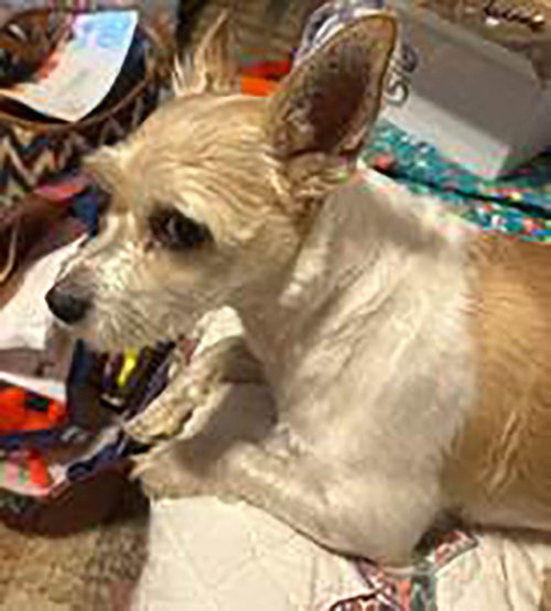 Lola photo 6