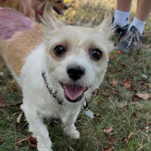 Lola photo 8