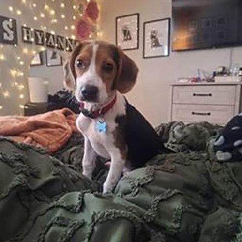 Buckley
