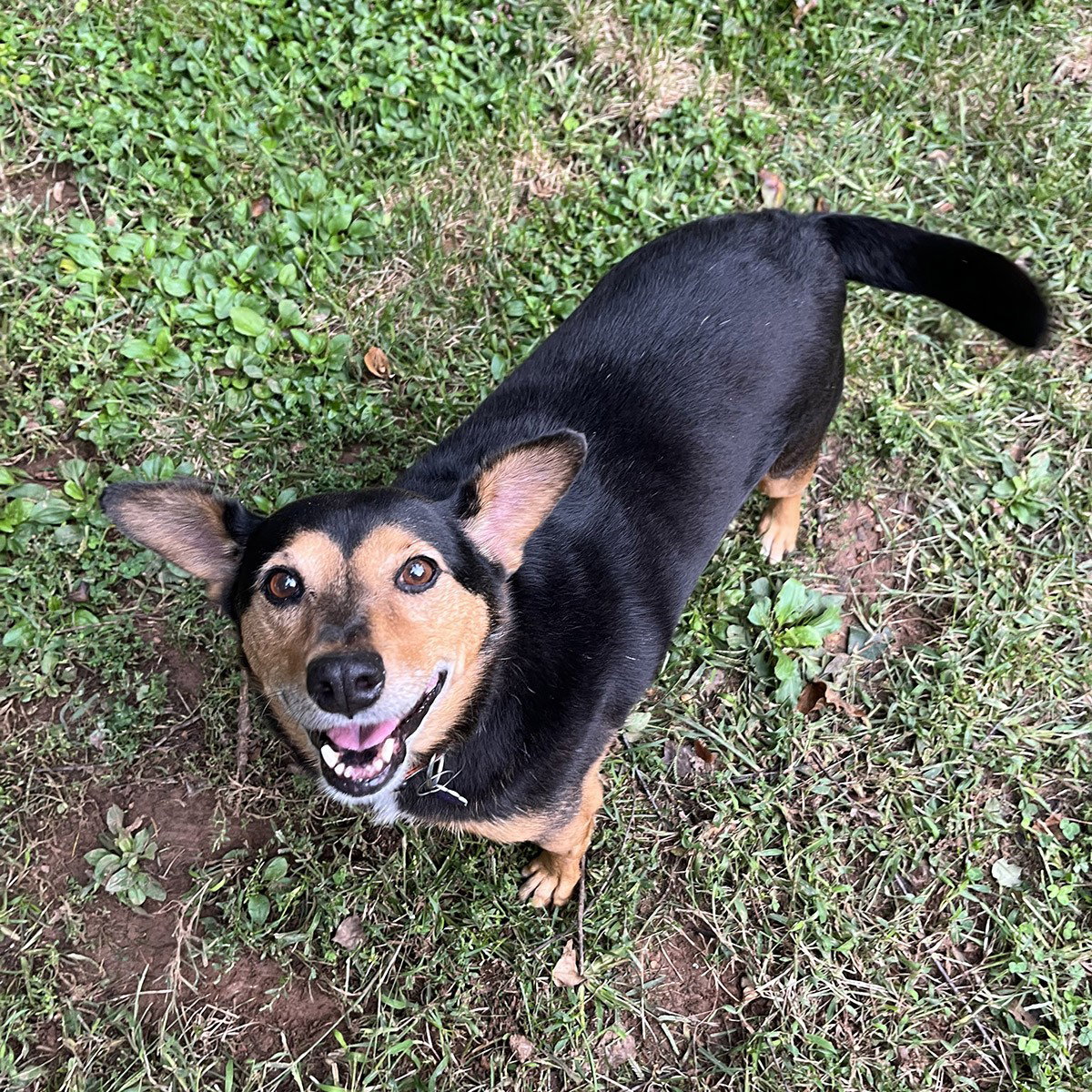 Sparky I, photo 2