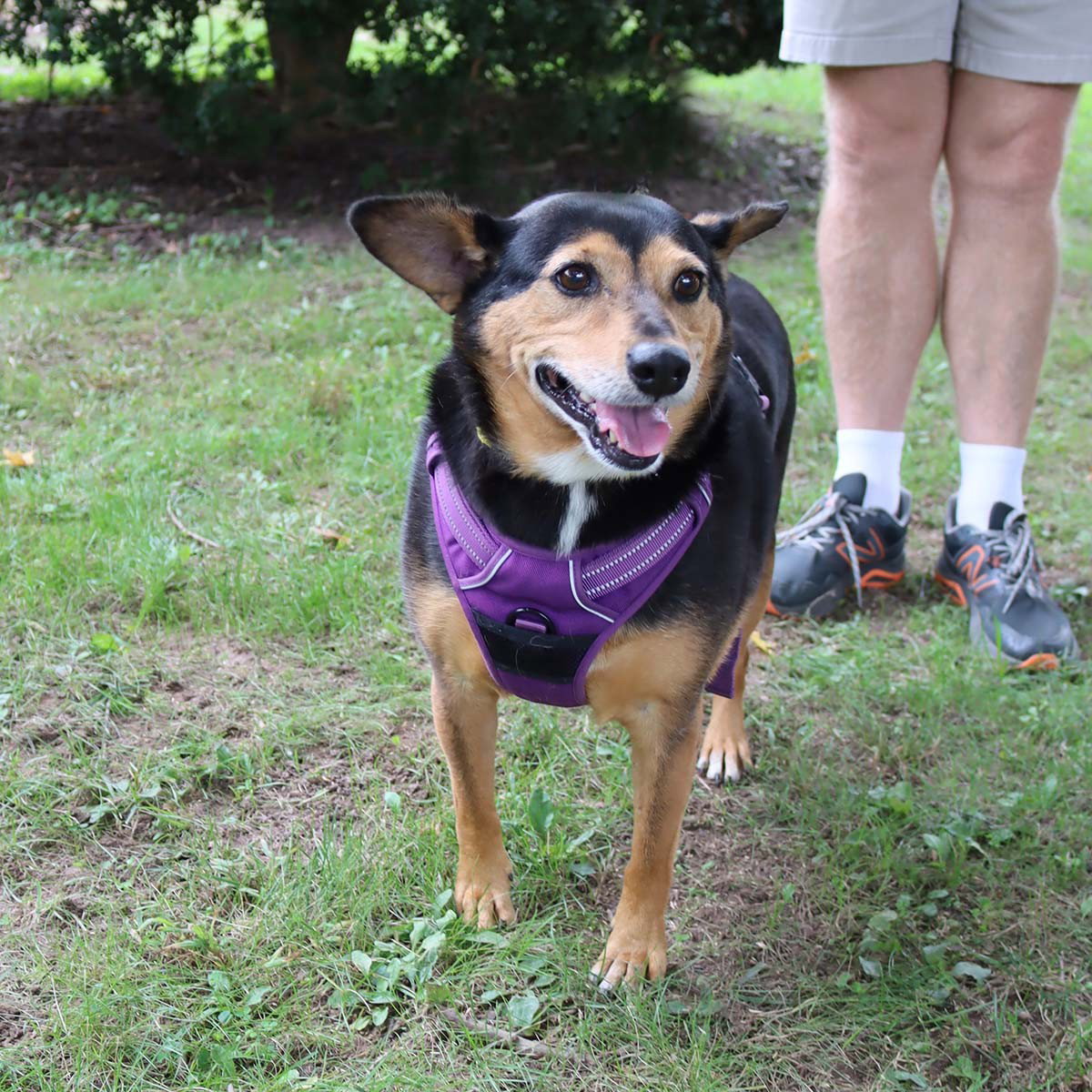 Sparky I, photo 7