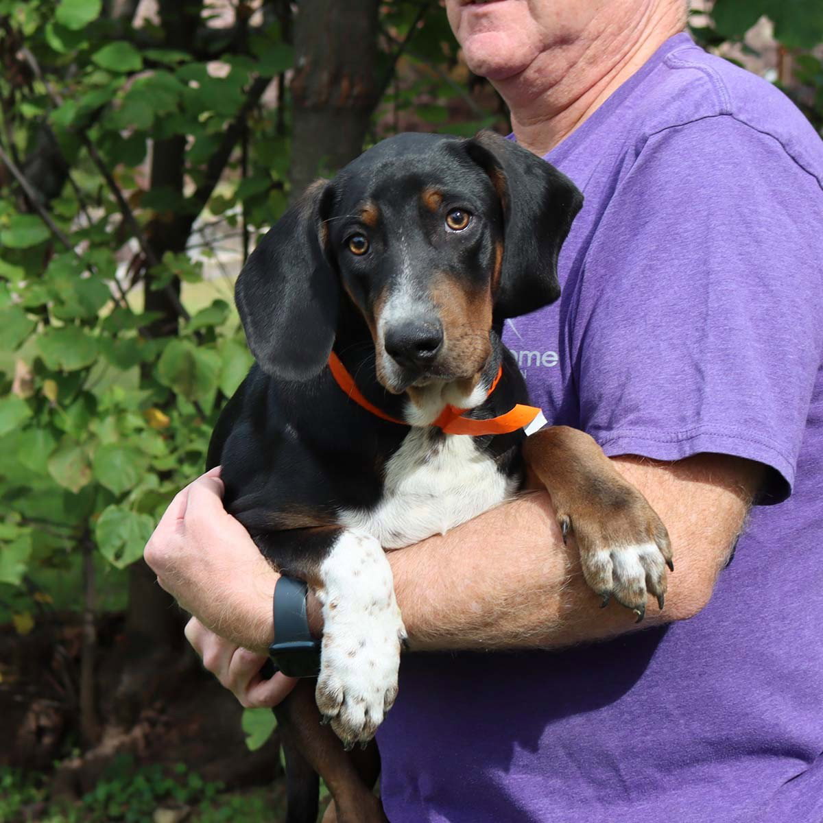 Dobie Bear, photo 5