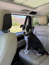 Miss Daisy - Photo 6