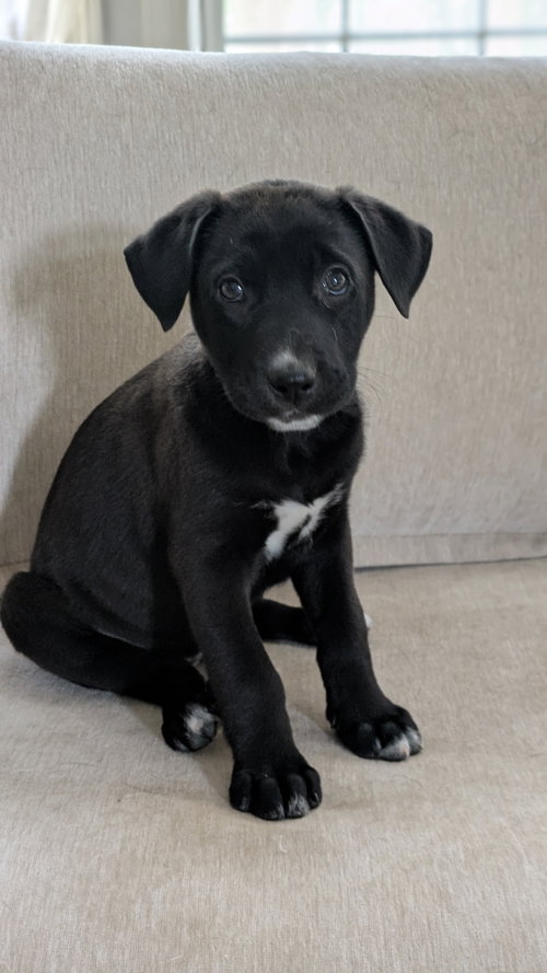 Penelope photo 2