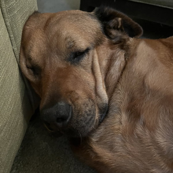 Mateo