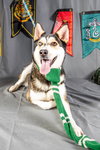 Sitka - Photo 5