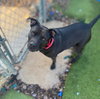 Rocky - Photo 2