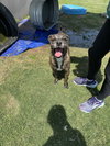 Junior - Photo 3