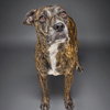 Junior - Photo 2