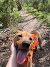 Mason - Photo 4
