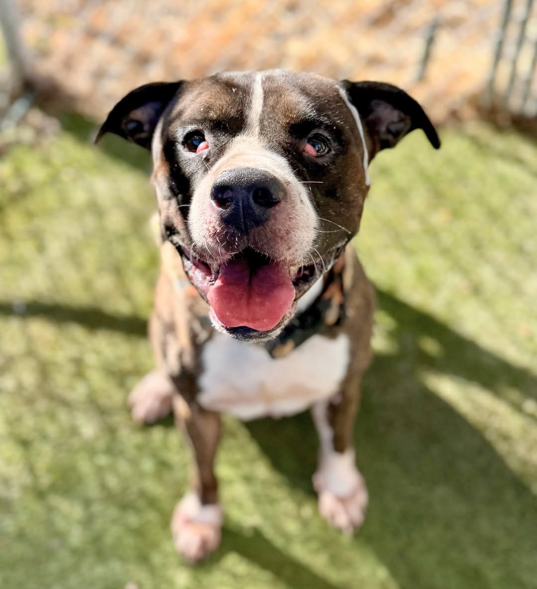Winston Image