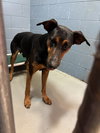 Maverick - Photo 2