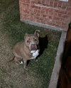Patsy - Photo 3
