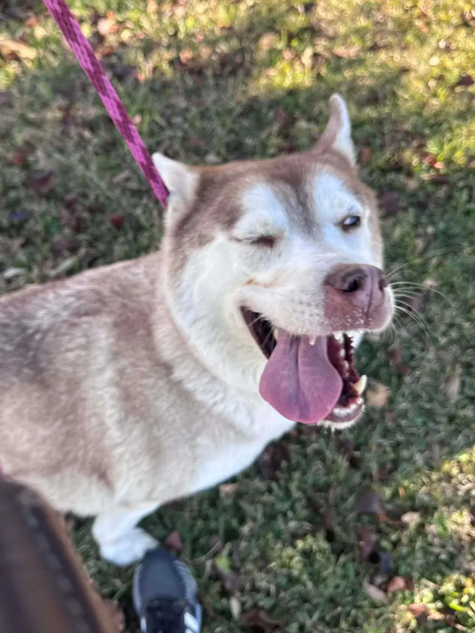 Sasha image 2